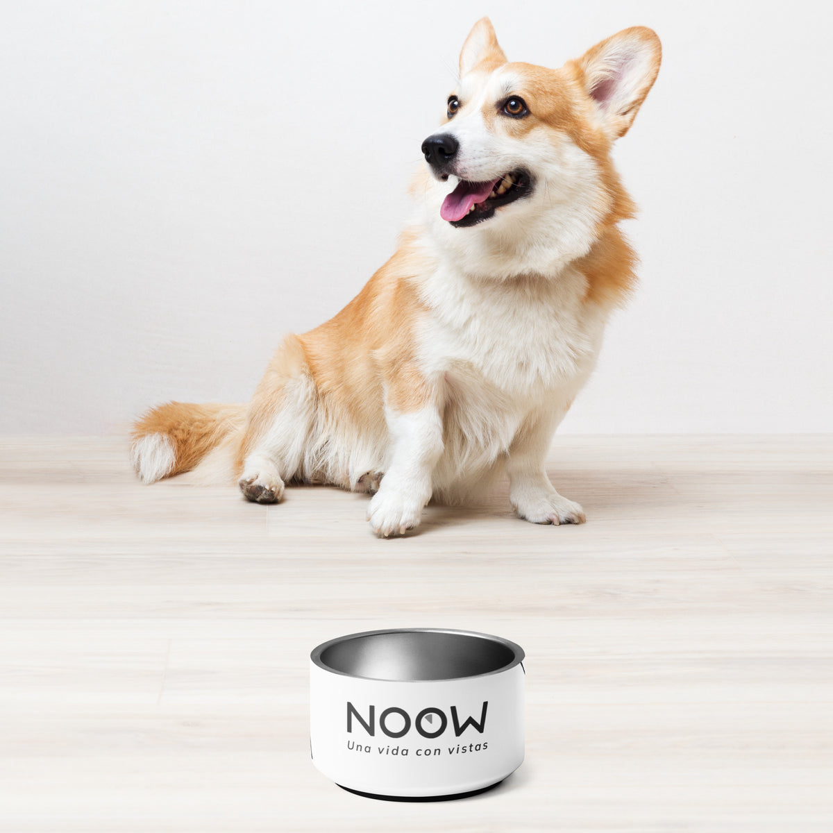 Plato para mascota
